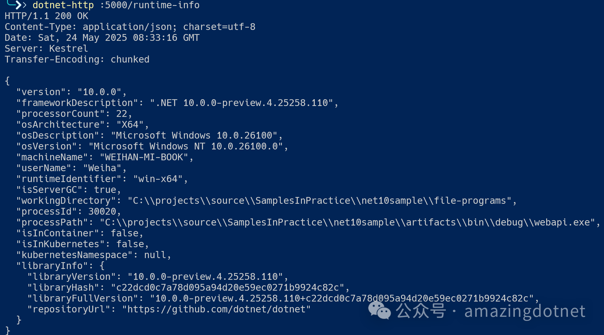 webapi runtime-info sample